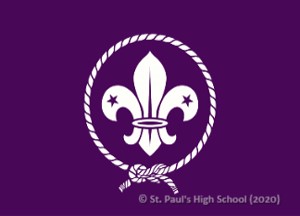 World Scouts Flag